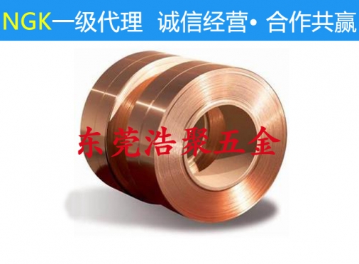 枣庄日本进口钛铜带